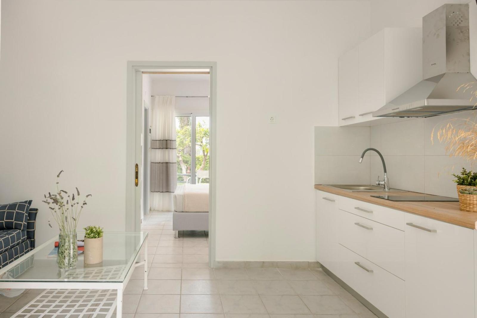 Vivian Apartments Vlachata エクステリア 写真